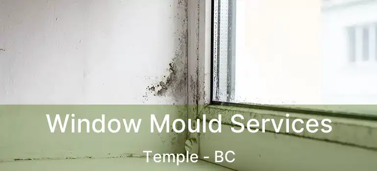 Window Mould Services Temple - BC