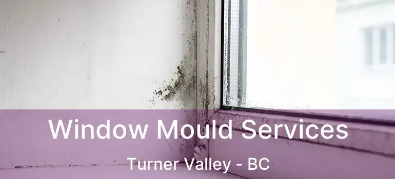 Window Mould Services Turner Valley - BC