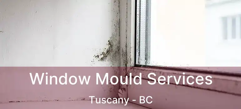 Window Mould Services Tuscany - BC