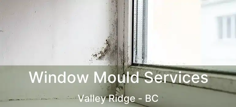 Window Mould Services Valley Ridge - BC