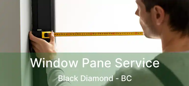 Window Pane Service Black Diamond - BC
