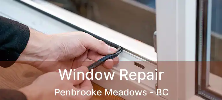 Window Repair Penbrooke Meadows - BC