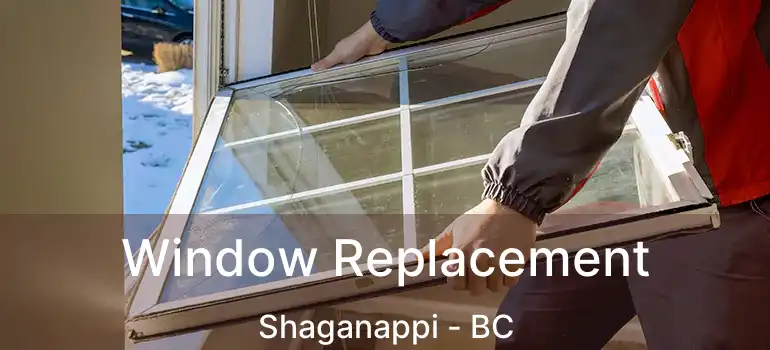 Window Replacement Shaganappi - BC
