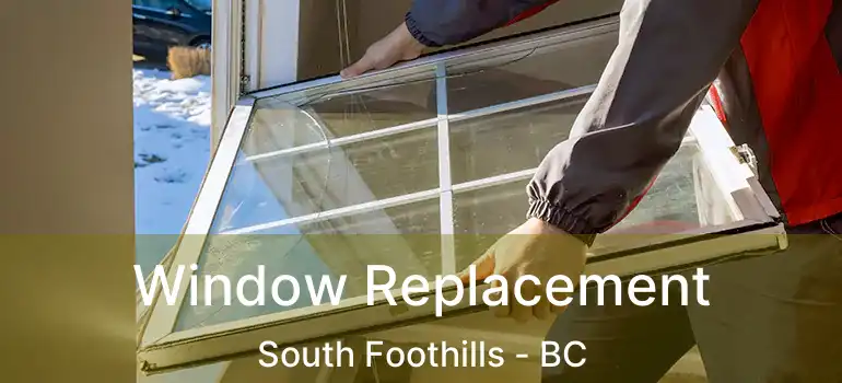 Window Replacement South Foothills - BC