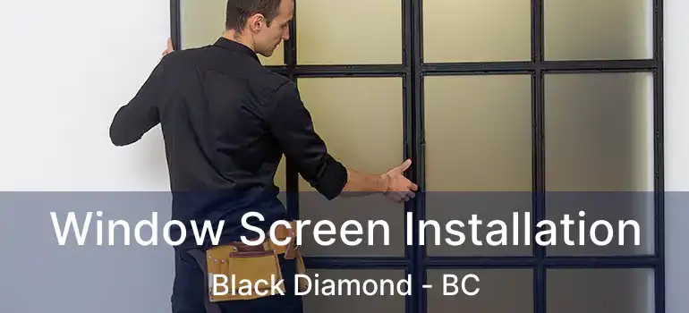 Window Screen Installation Black Diamond - BC