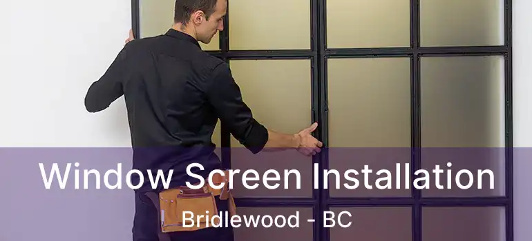 Window Screen Installation Bridlewood - BC