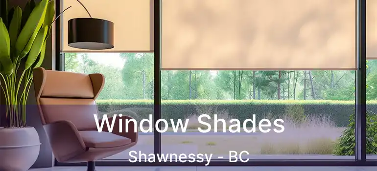 Window Shades Shawnessy - BC