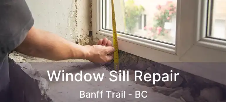Window Sill Repair Banff Trail - BC