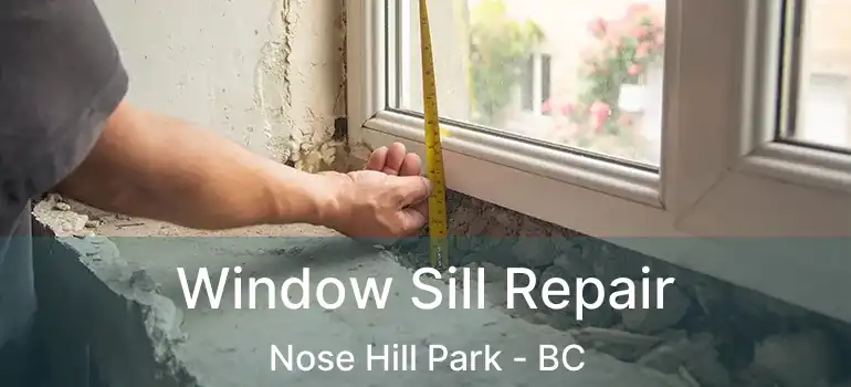 Window Sill Repair Nose Hill Park - BC