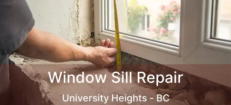 Window Sill Repair University Heights - BC