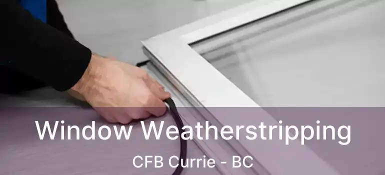 Window Weatherstripping CFB Currie - BC