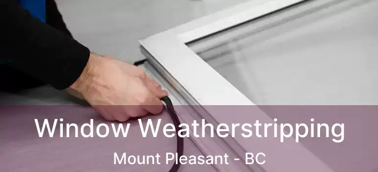 Window Weatherstripping Mount Pleasant - BC
