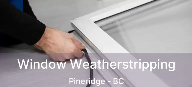 Window Weatherstripping Pineridge - BC