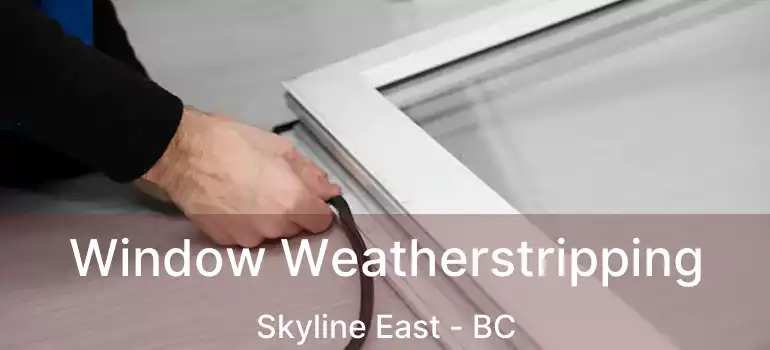 Window Weatherstripping Skyline East - BC