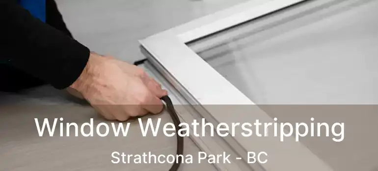Window Weatherstripping Strathcona Park - BC