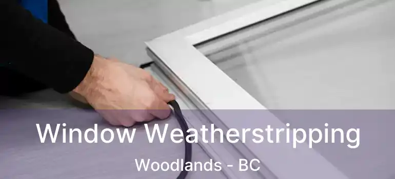 Window Weatherstripping Woodlands - BC
