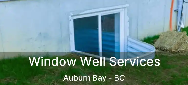 Window Well Services Auburn Bay - BC