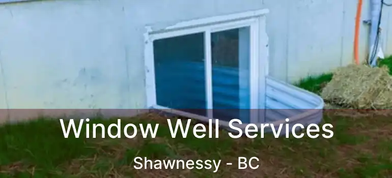 Window Well Services Shawnessy - BC