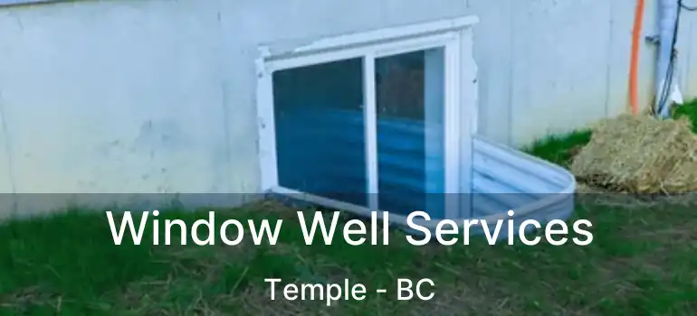 Window Well Services Temple - BC