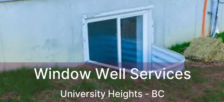 Window Well Services University Heights - BC