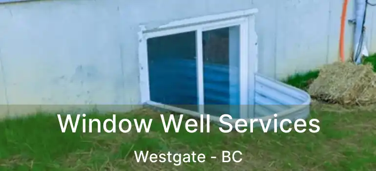 Window Well Services Westgate - BC