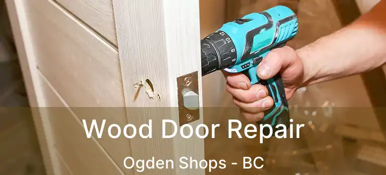 Wood Door Repair Ogden Shops - BC